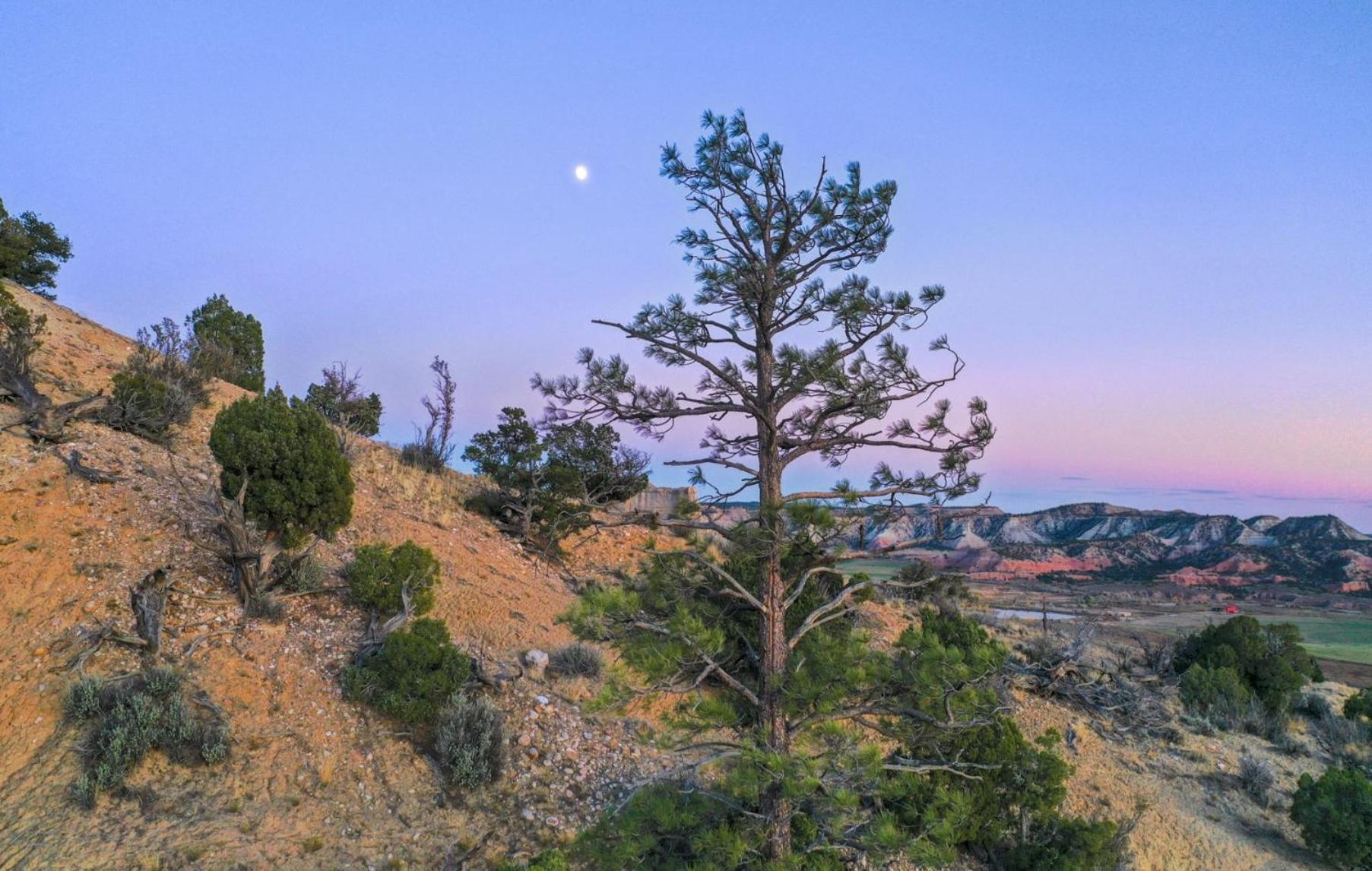 Clear Sky Resorts - Bryce Canyon - Unique Stargazing Domes Cannonville Esterno foto